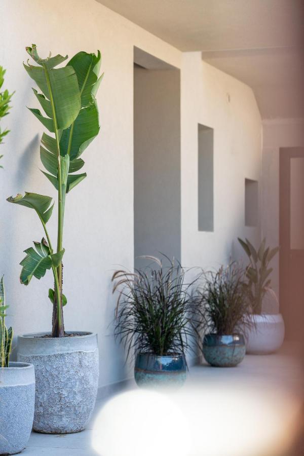 Villa Ilma Luxury Rooms Arzachena Zewnętrze zdjęcie